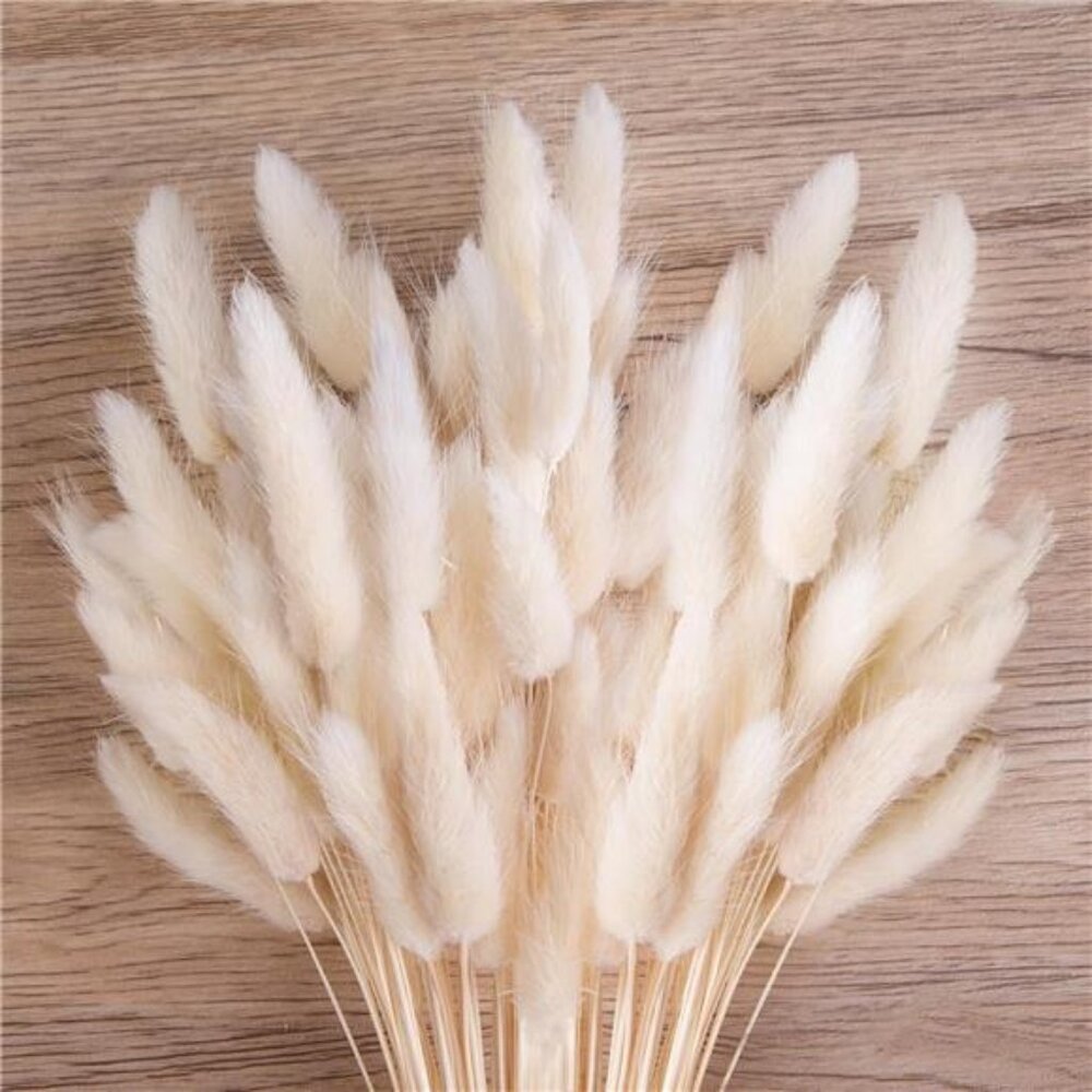 120PCS White Bunny Tails Dried Flowers, 17inch Dried Pampas Grass Decor